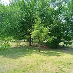 La Cjase Di Pieri E Vilme Bed & Breakfast 3*