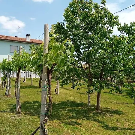 La Cjase Di Pieri E Vilme 3* Udine
