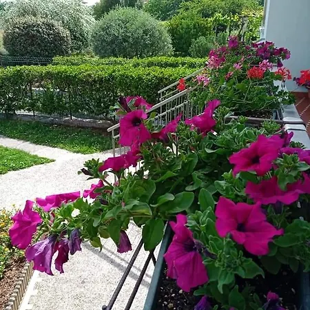 La Cjase Di Pieri E Vilme