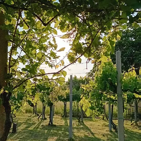 La Cjase Di Pieri E Vilme 3*