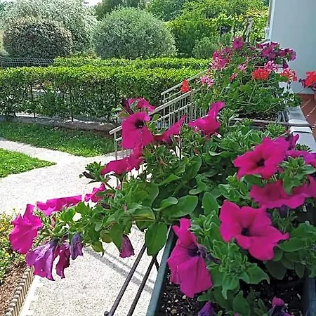 فندق مبيت وإفطار La Cjase Di Pieri E Vilme