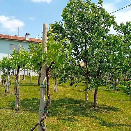 La Cjase Di Pieri E Vilme فندق مبيت وإفطار 3*