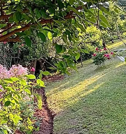 La Cjase Di Pieri E Vilme فندق مبيت وإفطار 3*
