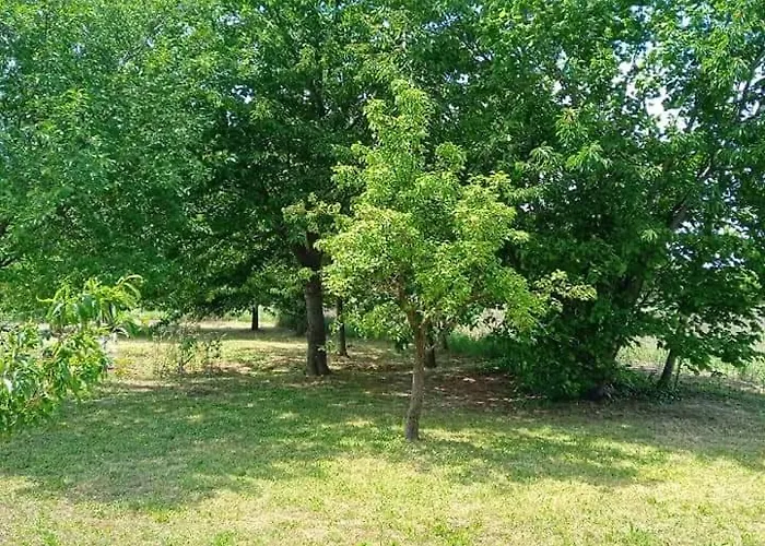 La Cjase Di Pieri E Vilme Panzió 3*