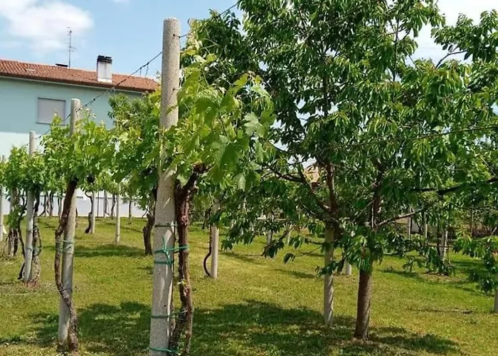 La Cjase Di Pieri E Vilme 3* Udine