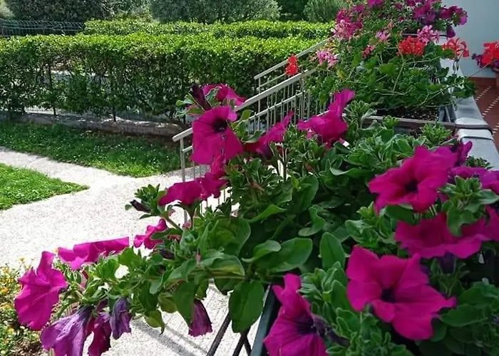 La Cjase Di Pieri E Vilme