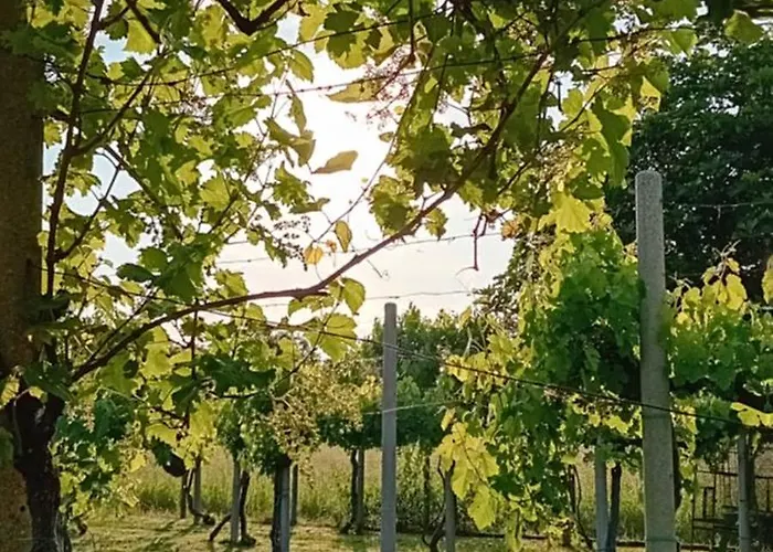 La Cjase Di Pieri E Vilme 3*