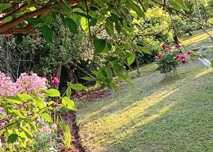 La Cjase Di Pieri E Vilme Panzió 3*